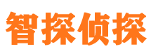 临清市私人侦探